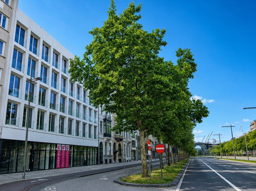 Bien professionnel à vendre
                    à 2000 Antwerpen