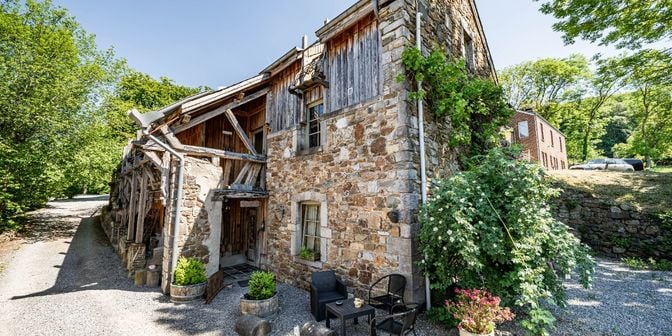 Bien professionnel à vendre à Rowe dè Rèmoleû 20, 6941 Heyd