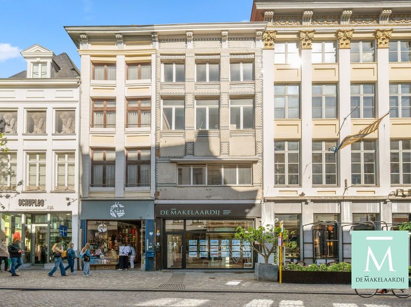Bien professionnel à vendre
                    à 2800 Mechelen