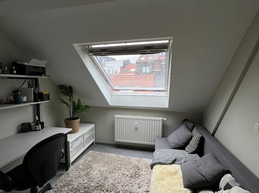 Ben je op zoek naar een studentenkamer in Leuven? Dan is residentie Piot misschien wel de perfecte plek voor jou! Deze bemeubelde kamer is gelegen in
