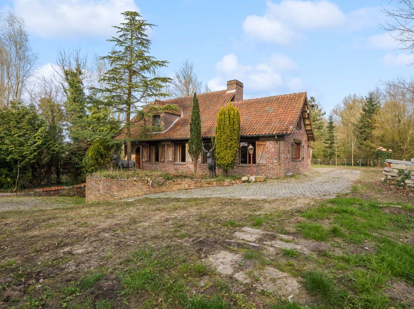 Maison à vendre
                    à 9230 Wetteren