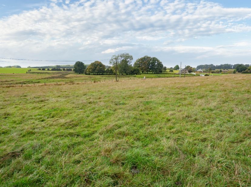 ERA BLUX vous propose un très beau terrain plat à bâtir denviron 9 ares situé à Offagne dans la commune de Paliseul, au cur dun environnement verdoyan