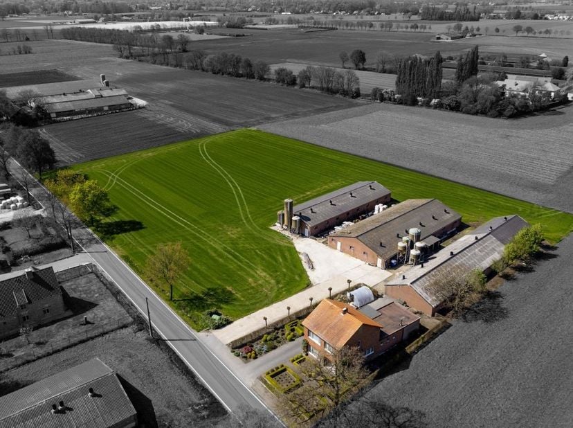 Hoeve met bedrijfswoning en varkensstallen op 1ha 33 te koop te Kalmthout<br />
<br />
Bedrijfswoning nog in vruchtgebruik moeder bedrijfsleider<br />