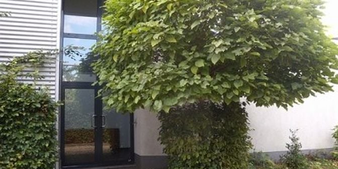 Bien professionnel à louer à Weg naar Meeuwen 40, 3660 Opglabbeek