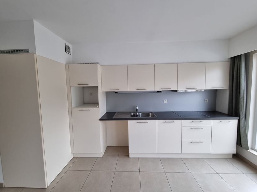Dit leuke appartement met één slaapkamer beschikt over een ingerichte keuken (met vaatwas) en een badkamer met douche, lavabo en toilet. De woning wor