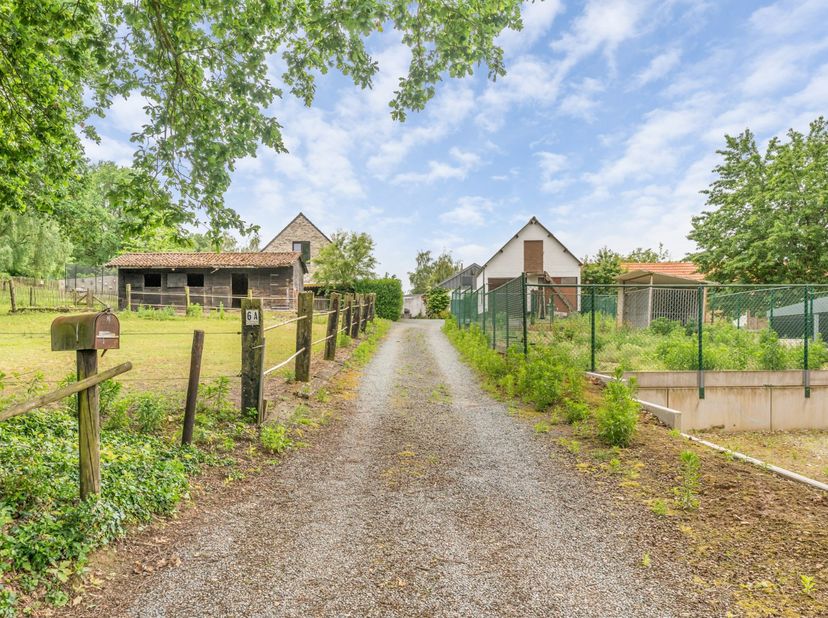 Maison à vendre
                    à 3680 Neeroeteren