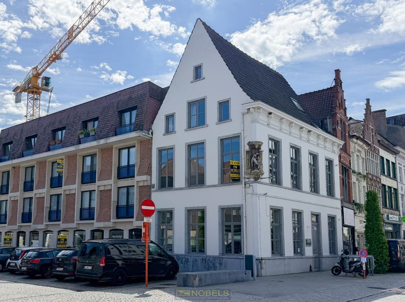 MULTIFUNCTIONEEL HANDELSPAND MET 2 APPARTEMENTEN gelegen in het STADSCENTRUM van Oudenaarde.&amp;nbsp;Deze EXCLUSIEVE EIGENDOM is gelegen UITERST GUNSTIGE