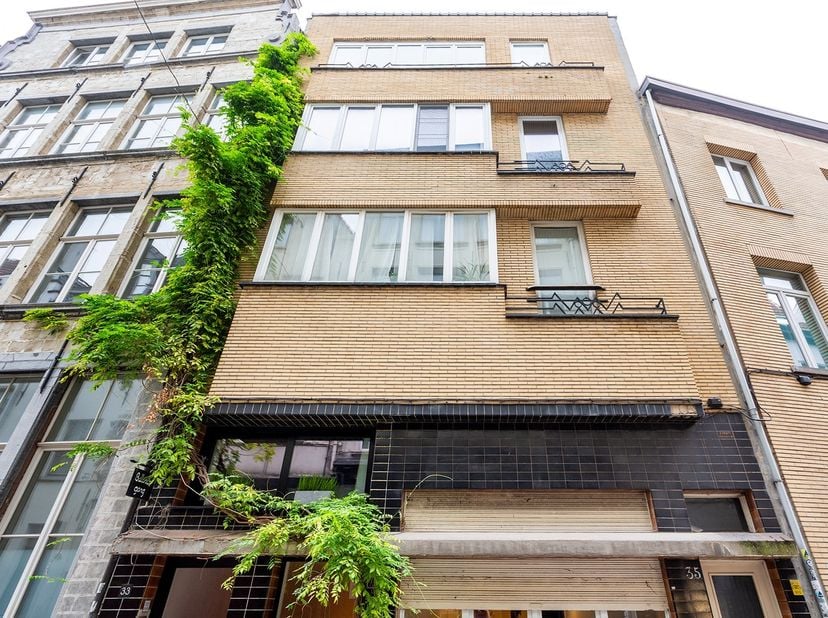 Ben je op zoek naar een tof appartement met potentieel, midden in het hart van Antwerpen? Dan is dit op te frissen appartement zeker het ontdekken waa