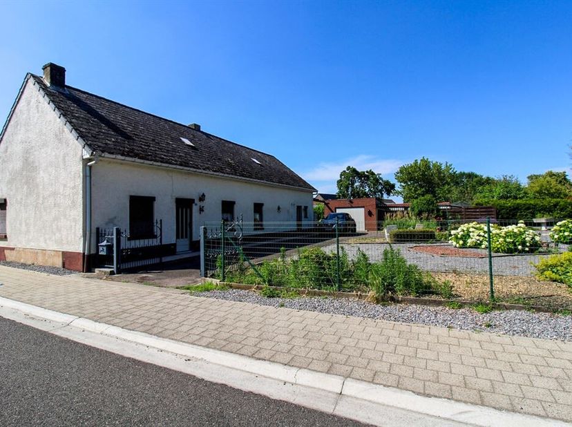 Langs de Daalbroekstraat in Opgrimbie/Maasmechelen bevindt zich deze gelijkvloerse woning op een mooi perceel van maar liefst 8a50ca. De woning dateer