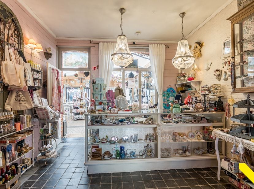 Bien professionnel à vendre
                    à 2250 Olen