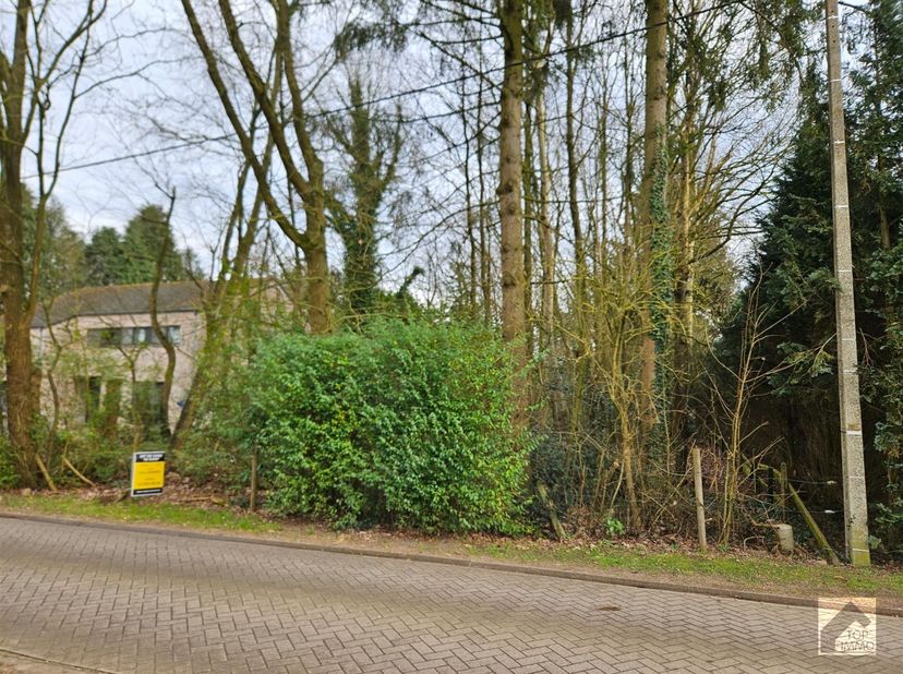 Ruim perceel van 1.585 m² in het groen -  bouw jouw droomwoning!<br />
Op zoek naar een prachtig gelegen bouwgrond waar je in alle rust kan wonen, ma
