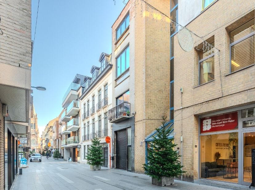 Bien professionnel à vendre
                    à 8370 Blankenberge