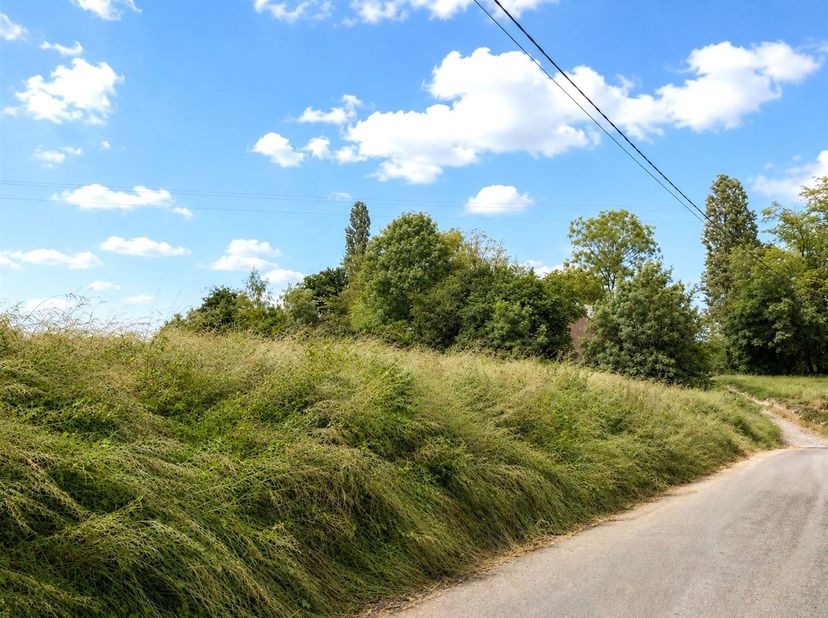 Terrain d'une contenance totale de 36 a 99 ca en zone d'habitat à l’état de terre de culture, de relief +/- plat, sis à une voirie asphaltée. Présence