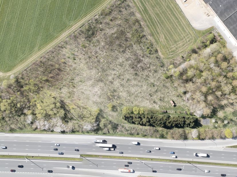 Ces 3 parcelles de terrain naturel en Flandre représentent une opportunité rare pour un investissement dans un espace ouvert à forte valeur écologique