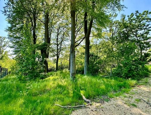                                         Bouwgrond te koop in Orroir, € 149.500
