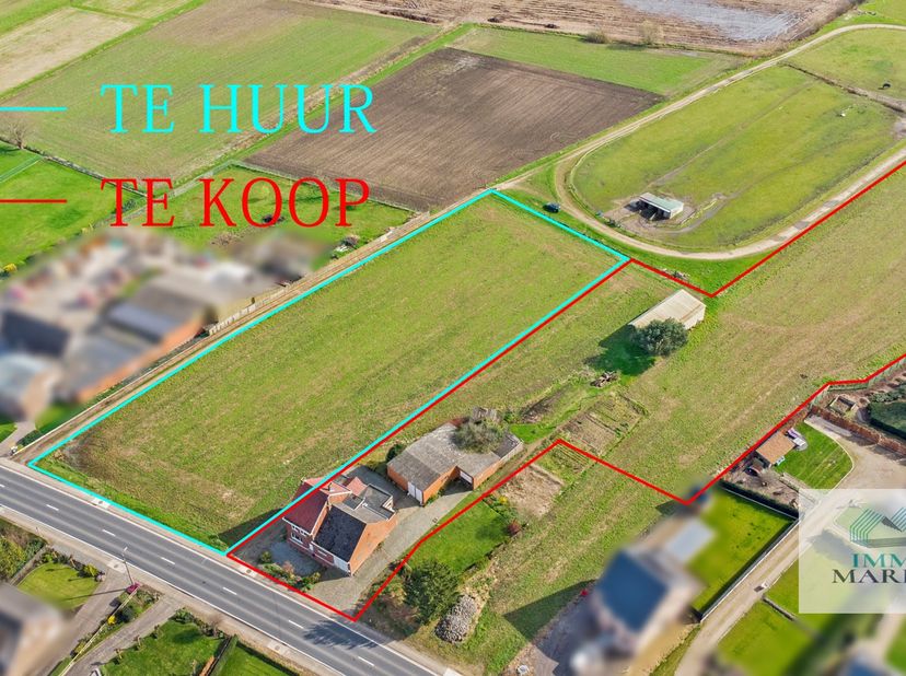 Ruime te moderniseren woning van ca 245 m² met 5 (slaap)kamers en inpandige schuur, ruim afzonderlijk atelier/garage/stal van 135m² (9m x15m) met naas