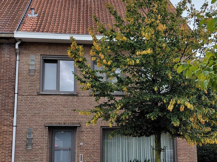 Ruime, volledig gerenoveerde gezinswoning met 3 slaapkamers en tuin in het hartje van Herentals. Deze verrassend ruime woning biedt maar liefst 180 m²