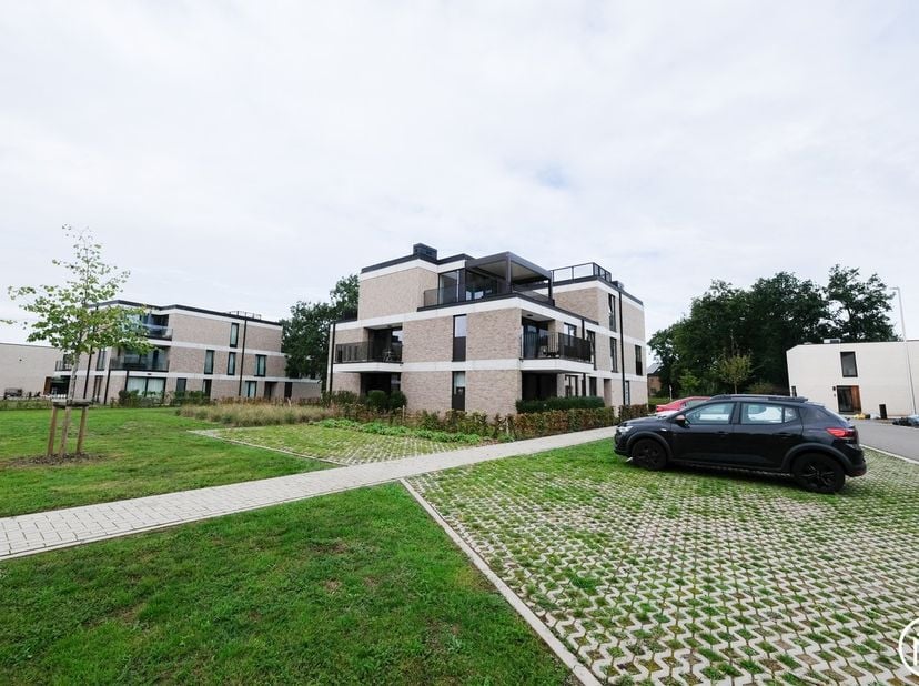 Appartement à louer à Pieter Demuynckstraat 14 boîte 4,
                    3520 Zonhoven
