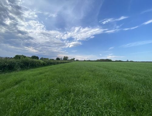                                         Terrain agricole à vendre à Itterbeek, € 75.000
