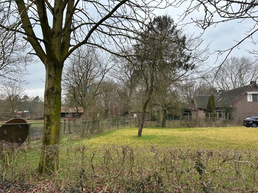 Terrain à vendre
                    à 3690 Zutendaal