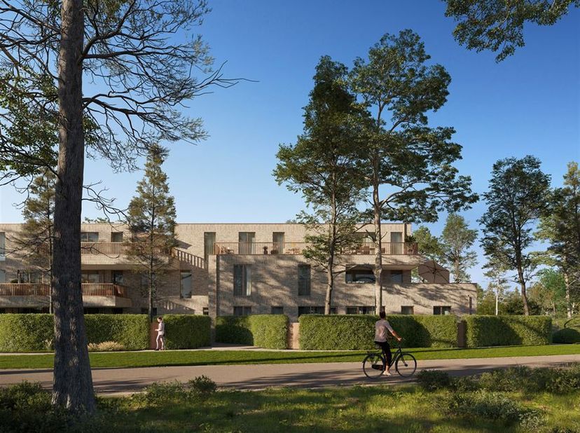 Buulse Woods : de beaux appartements BEN dans la verdure<br />
Ce nouveau projet à Olen comprend 18 appartements BEN exclusifs avec un jardin ou une t