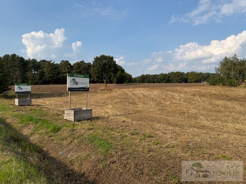 Percelen voor open bebouwing - lot 2<br />
Deze percelen voor een woning in open bebouwing&amp;nbsp;liggen aan Langven ZN te Ham.<br />
Met&amp;nbsp;vlotte ve