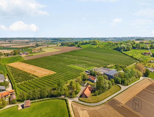                                         Hoeve te koop in Kwaremont, € 3.650.000
