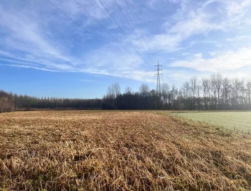                                         Landbouwgrond te koop in Wijgmaal, € 58.000
