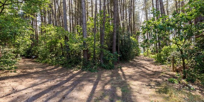 Grond te koop in Rodenheide 17, 2275 Wechelderzande