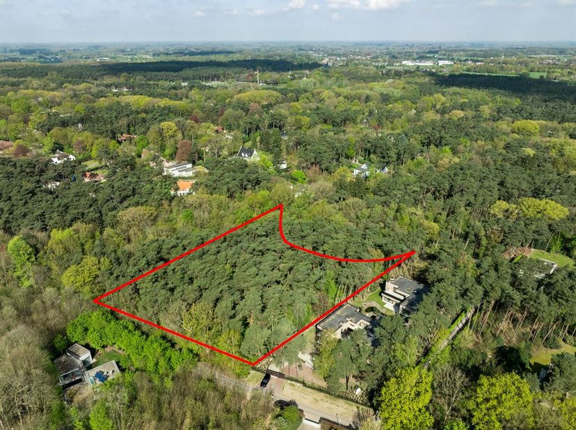 Environnement : Dans le quartier résidentiel recherché d'Oudeheerweg-Heide à Waasmunster, se trouve ce terrain à bâtir exceptionnel d'une superficie t