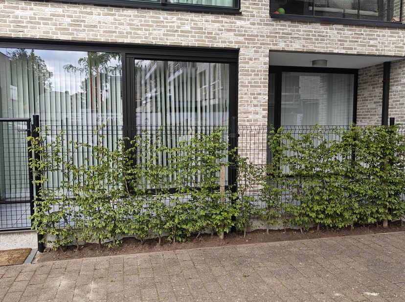 Appartement à louer à Pelserweg 5,
                    3590 Diepenbeek