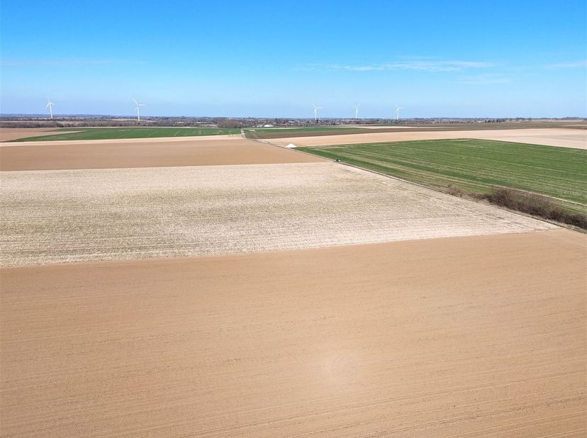Petit Hallet (regio Hannut), 3 zeer mooie blokken landbouwgrond met een totale oppervlakte van 47 ha 49 a 39 ca, die mooie werkblokken vormen.<br />
