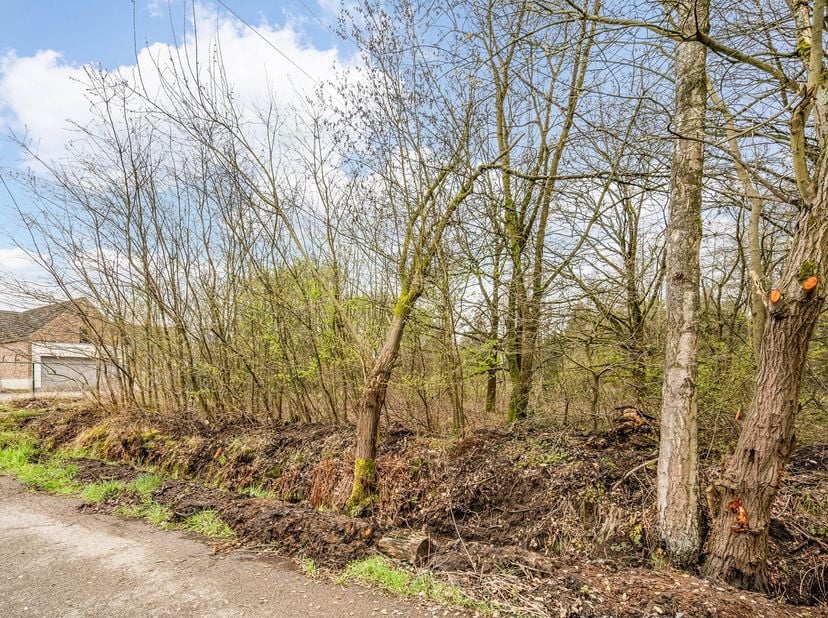 Bent u op zoek naar de ideale locatie om uw droomwoning te realiseren?<br />
<br />
Deze mooie bouwgrond is rustig gelegen in een doodlopende straat i