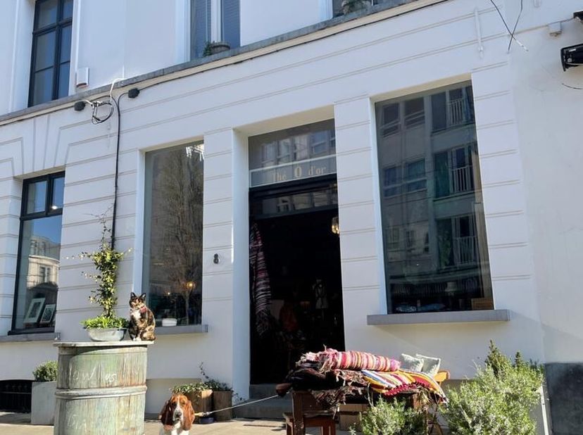 Te huur in GENT : POP-UP handelsgelijkvloers op zeer centrale ligging.<br />
Omvattende: twee mooie handelsruimtes met toegang tot het stadstuintje, a