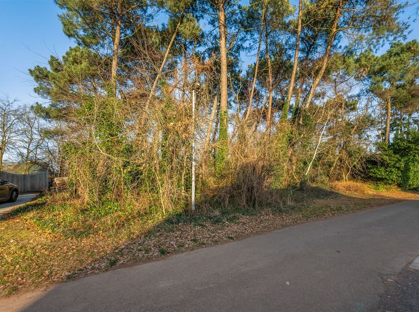 Terrain à vendre
                    à 2560 Nijlen