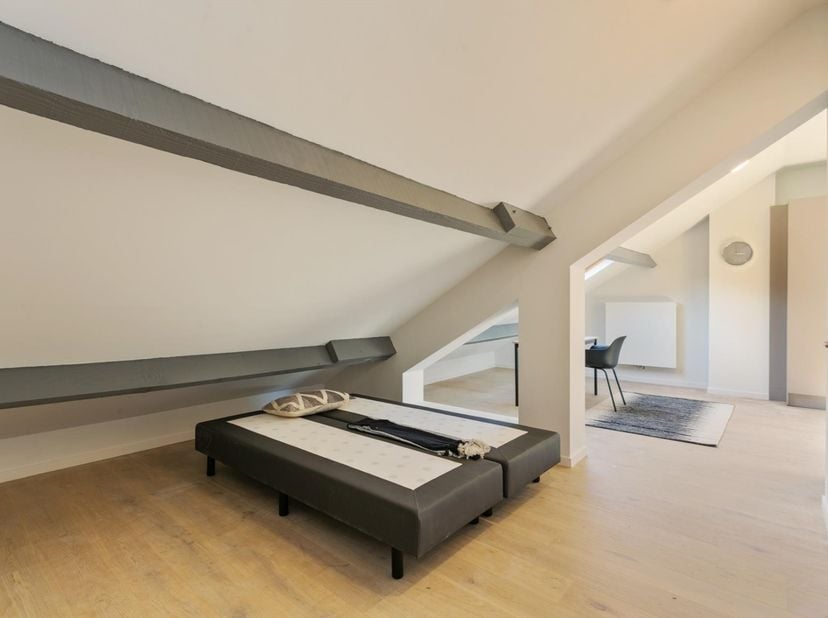 Deze prachtige bemeubelde studio met één slaapkamer is gelegen in de bruisende studentenstad Leuven, in de residentie BELLEFROID. De studio is gerenov