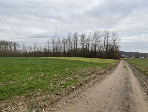                             Terrain agricole à vendre à Lieferinge
