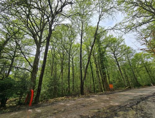                                         Bouwgrond te koop in Cerfontaine, € 59.000
