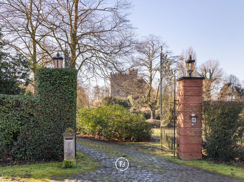 Deze charmante residentiële kasteelwoning bevindt zich op een uitzonderlijk domein van meer dan 2,5 hectare, gelegen op de grens van Stevoort en het r