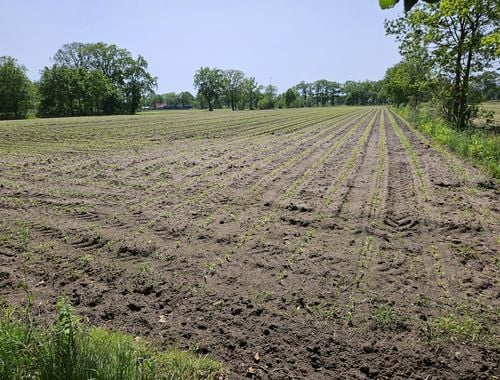                                         Landbouwgrond te koop in Olmen, € 220.000
