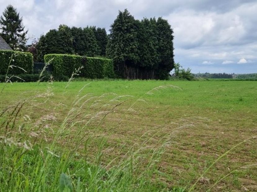 Terrain à vendre
                    à 3401 Walshoutem