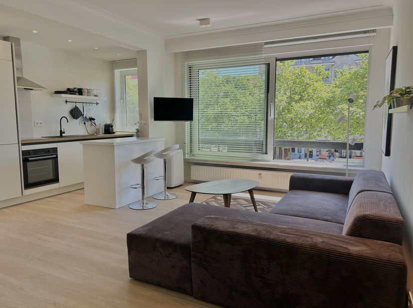 Dit trendy gemeubeld studio-appartement van ca 55 m² is centraal gelegen aan de Britselei. Op de rand van het Zuid en de al even hippe ‘theaterbuurt’,