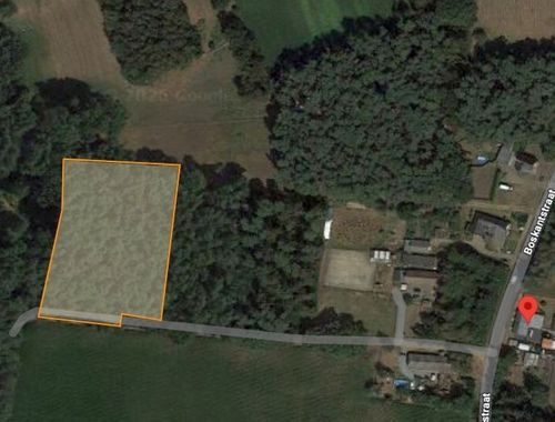                                         Bois à vendre à Beverlo, € 29.000
