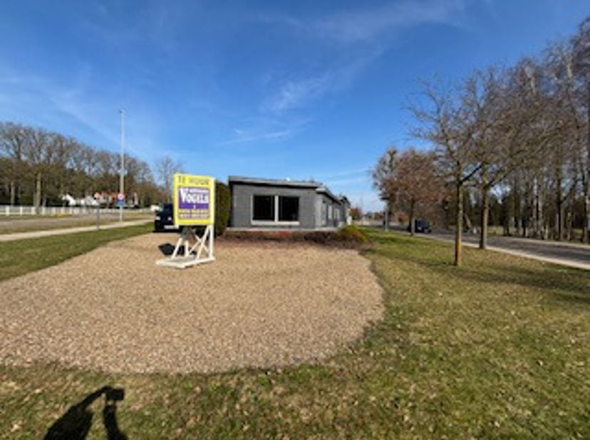 Bien professionnel à louer
                    à 3690 Zutendaal