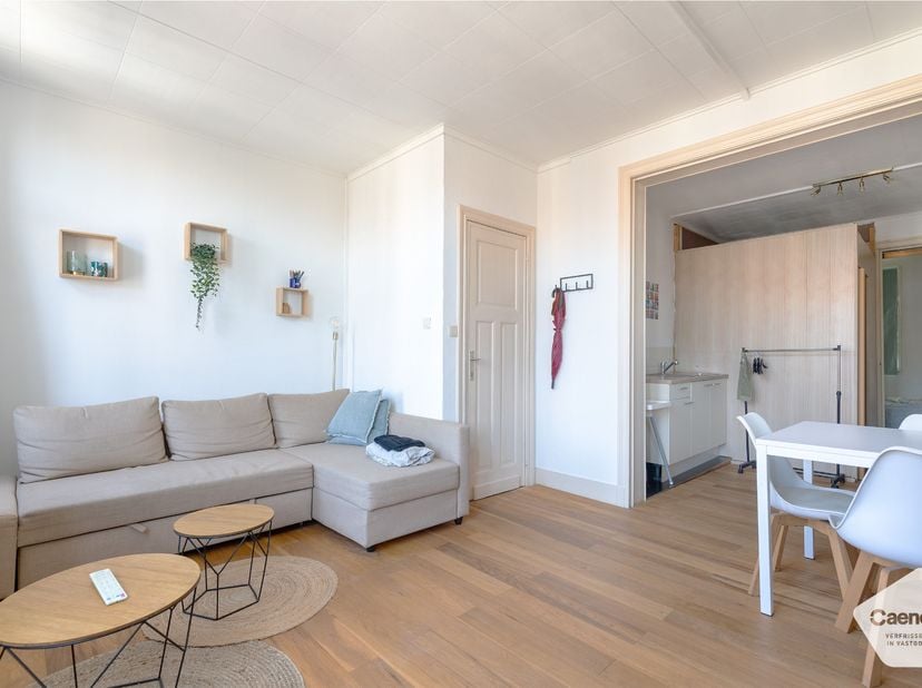 Dit lichtrijke appartement is gelegen op een gunstige ligging, op wandelafstand van het strand en het centrum. Dankzij de praktische ligging geniet u