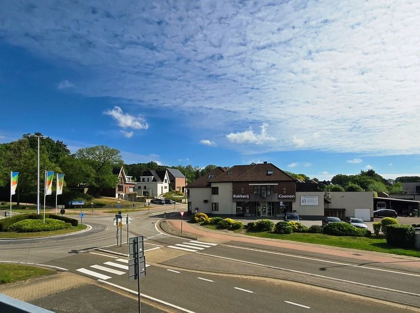 Bien professionnel à vendre
                    à 3560 Lummen