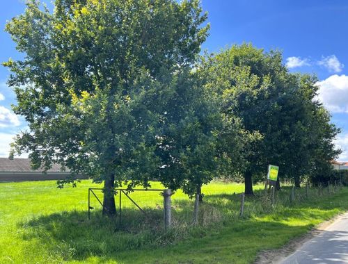                                         Bouwgrond te koop in Houthulst, € 167.000
