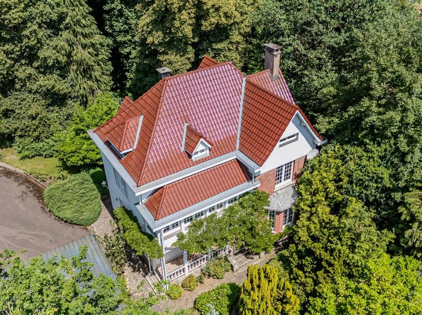 We Invest Malmedy presenteert u deze elegante karaktervolle villa in herenhuisstijl, ideaal gelegen aan de Avenue du Pont de Warche in Malmedy. Dit pa