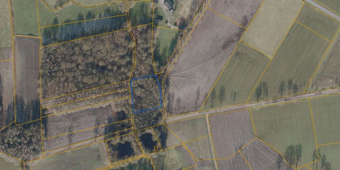 Terrain à vendre à Vijverstraat, 3900 Overpelt