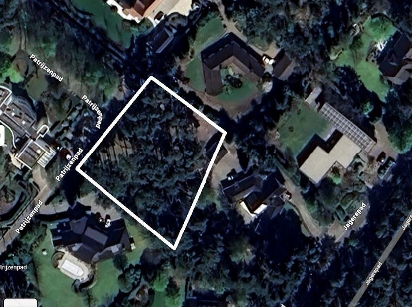 Bouwgrond in een bosrijke omgeving met een oppervlakte van 2.461 m² te Pelt (Grote Heide). Geschikt voor het oprichten van een open bebouwing voor één